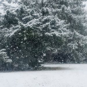 Meet your Posher, George